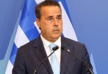 Στ. Παπασταύρου: Ελλάδα και Σερβία επιλέγουν περισσότερη ενεργειακή ασφάλεια και ισχυρότερη διασυνδεσιμότητα