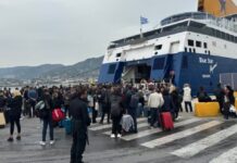 Έκτακτη σύσκεψη για τον αφθώδη πυρετό στη Λέσβο: Μερική άρση διακίνησης τυριού