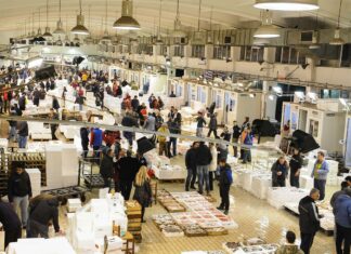 Πρόγραμμα 16 εκατ. για την αλιεία προανήγγειλε από την Ιχθυόσκαλα Κερατσινίου ο Μ. Σχοινάς