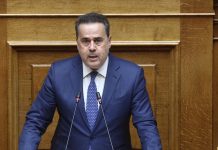 Στ. Παπασταύρου: Σημαντικές οι προοπτικές για υδρογονάνθρακες, πρώτη γεώτρηση τον Φεβρουάριο του 2027 και δυνητικά έσοδα έως 10 δισ. ευρώ