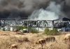 Φωτιά στον Ασπρόπυργο: 11 οι τραυματίες – Τρεις διασωληνωμένοι