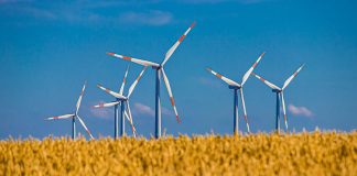 ΕΛΕΤΑΕΝ: Πάνω από 6 GW η αιολική ισχύς στο τέλος του α’ εξαμήνου στην Ελλάδα
