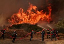 Πάνω από 130.000 στρέμματα κατέστρεψε η πυρκαγιά σε Δυτική Αττική και Βοιωτία