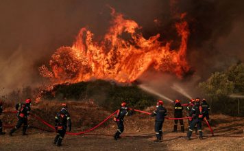 Πάνω από 130.000 στρέμματα κατέστρεψε η πυρκαγιά σε Δυτική Αττική και Βοιωτία