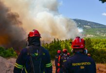 Προφυλακιστέοι ο δήμαρχος Στυλίδας και άλλοι δύο συλληφθέντες για την πυρκαγιά στη Δυτική Αττική