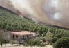 Αναστολή λειτουργίας του αιολικού πάρκου από όπου ξεκίνησε η πυρκαγιά στη Βοιωτία