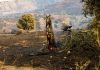 Ρέθυμνο: Σε εξέλιξη η διαδικασία καταγραφής των ζημιών σε επιχειρήσεις από τις πρόσφατες πυρκαγιές