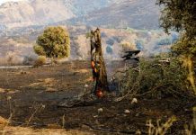 Ρέθυμνο: Σε εξέλιξη η διαδικασία καταγραφής των ζημιών σε επιχειρήσεις από τις πρόσφατες πυρκαγιές