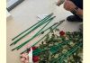 Επιχείρηση «Τα άνθη του κακού»: Κύκλωμα έκρυβε 84 κιλά κοκαΐνης μέσα σε τριαντάφυλλα